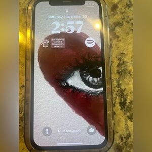 iPhone X used (read description)